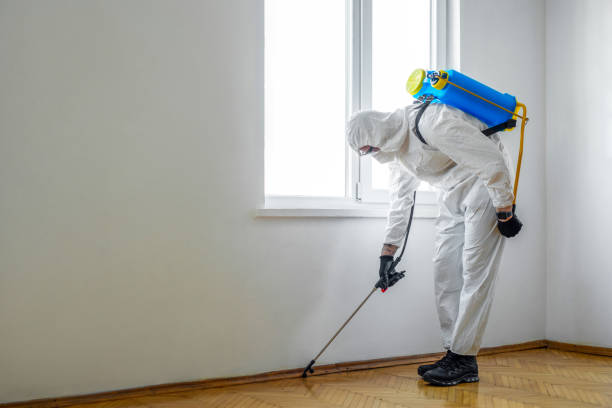 Real Estate Pest Inspections in Shively, KY